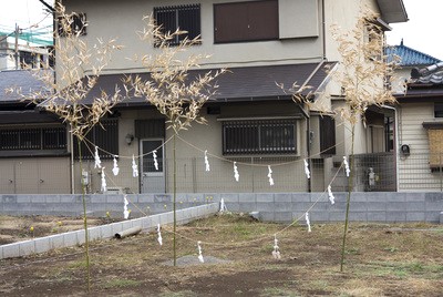 地鎮祭・家の位置確認・地盤調査